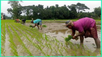 ‘চরম দুশ্চিন্তায়’ হাওরাঞ্চলের তিন লাখ কৃষক