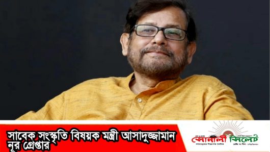 সাবেক সংস্কৃতি বিষয়ক মন্ত্রী আসাদুজ্জামান নূর গ্রেপ্তার