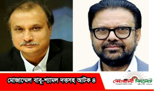 ভারতে পালানোর সময় সাংবাদিক মোজাম্মেল বাবু-শ্যামল দত্তসহ আটক ৪