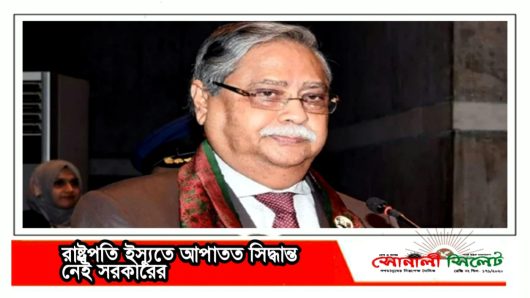 রাষ্ট্রপতি ইস্যুতে আপাতত সিদ্ধান্ত নেই সরকারের